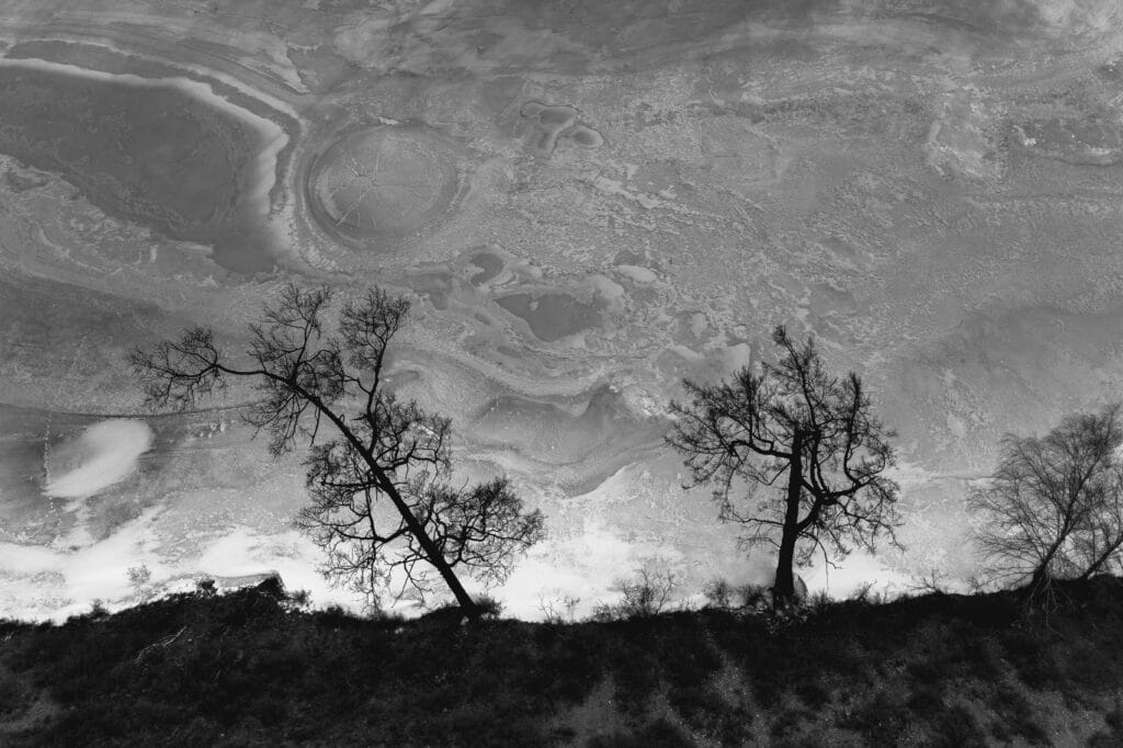 pexels mikhail nilov 7442124 1